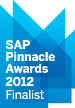 sap_pinnacle_2012_finalist_vision33 sap pinnacle2012 fin rgb sm