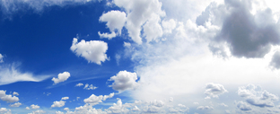Hear What Your Peers Are Talking About: Top 5 Small to Medium Business Trends for 2013 and Beyond