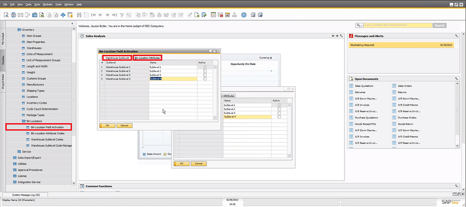 SAP Business One 9.0 Bin Location Activation