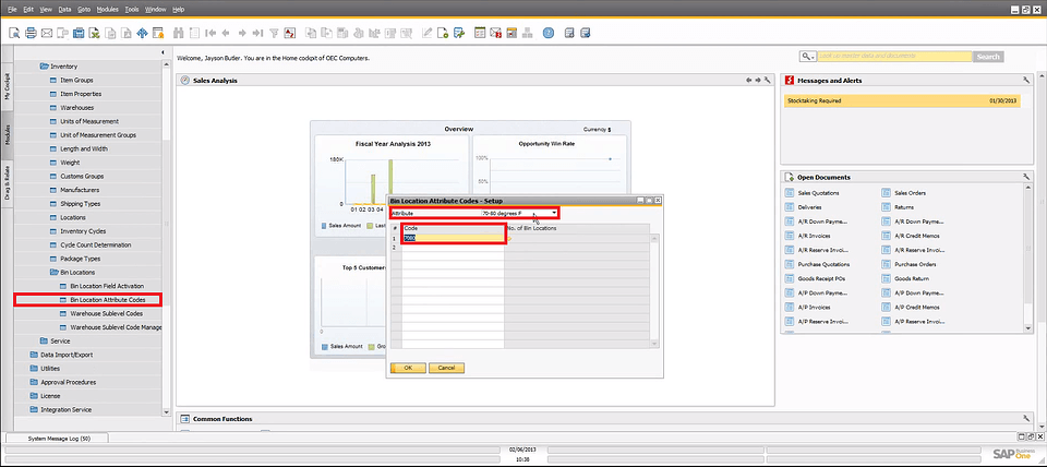 SAP Business One 9.0 Bin Location Attribute Codes
