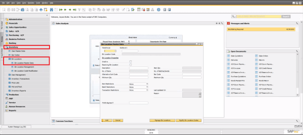 SAP Business One 9.0 Bin Location Master Data