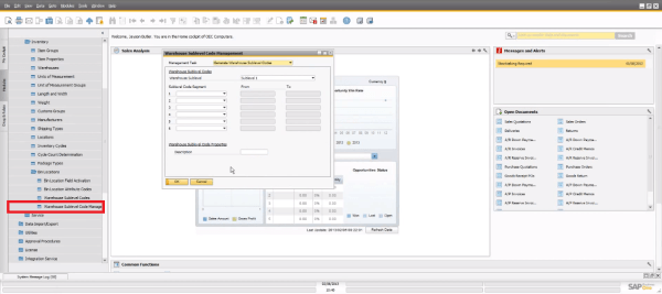 SAP Business One 9.0 Bin Location Warehouse Sublevel Code Management