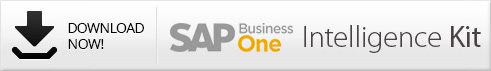 sap business one intelligence kit