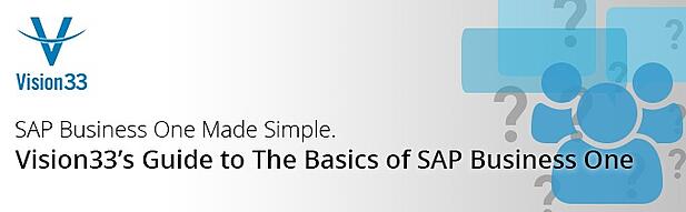 Guide to the Basics of SAP Business One