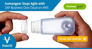 humangear Stays Agile with SAP Business One Cloud on AWS