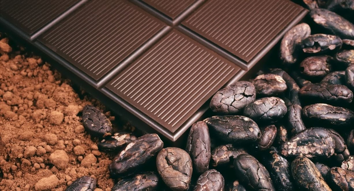 SAP Business One Ondemand for cocoa farmers