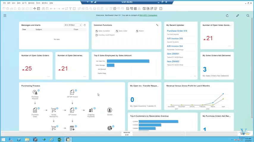 Fiori View in SAP Business One version for SAP HANA