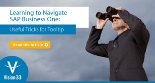 Learning to Navigate SAP Business One: Useful Tricks for Tooltip