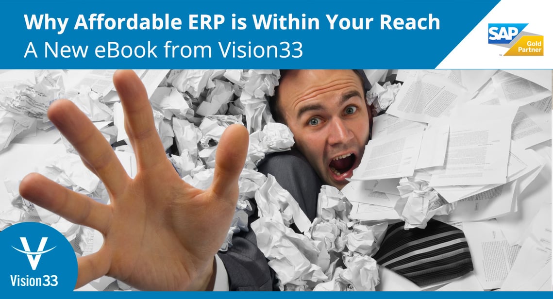 why-affordable-erp-is-within-your-reach-ebook-vision33