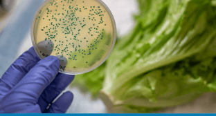 Get Ahead of Food and Beverage Recalls With Cloud ERP