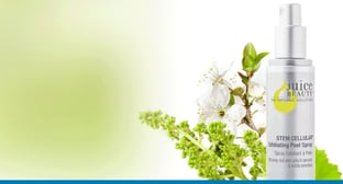 Organic Skincare and Makeup Company Manages Inventory and Worldwide Distribution With SAP Business One