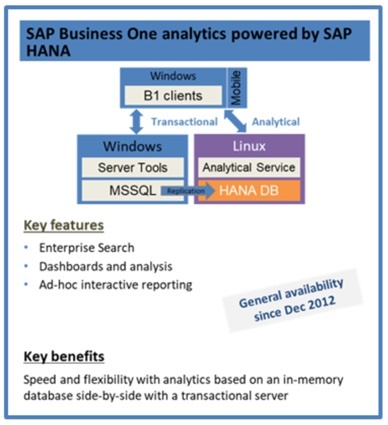 SAP-Business-One-Analytics-powered-by-Hana