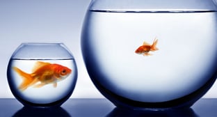 Top 10 Signs You've Outgrown QuickBooks