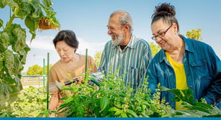 6 Amazing Things Community Development Non-Profits Can Do With Sage Intacct
