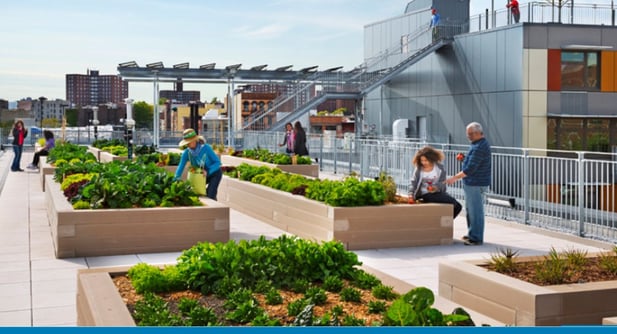 Sage Intacct for the JPB Foundation
