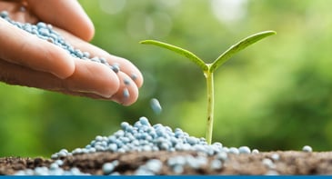 Real time financial reporting for non profits