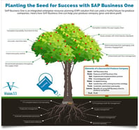 Planting the Seed for Success with SAP Business One