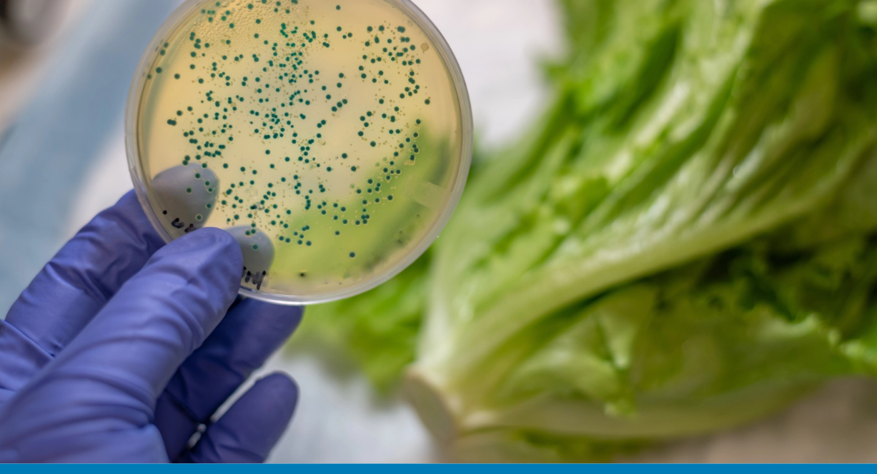 Get Ahead of Food and Beverage Recalls With Cloud ERP | Vision33