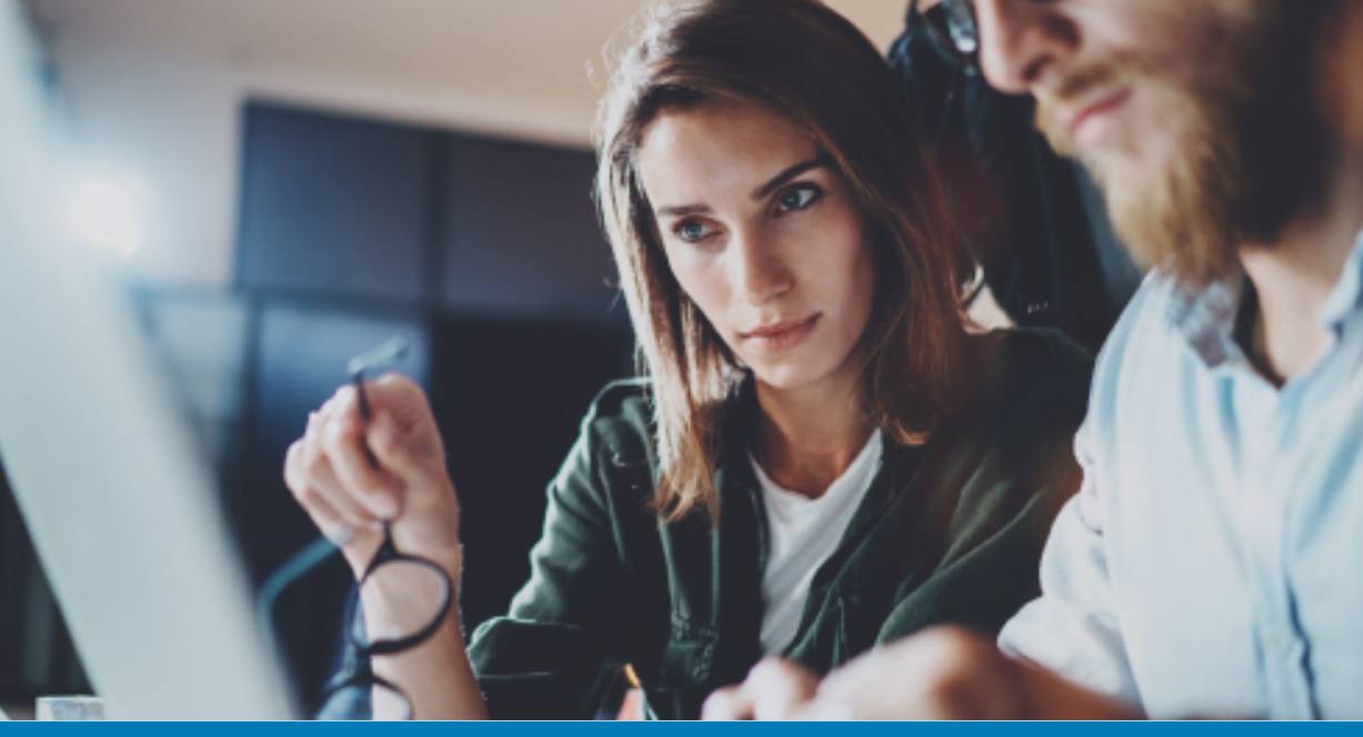 Government technology implementation